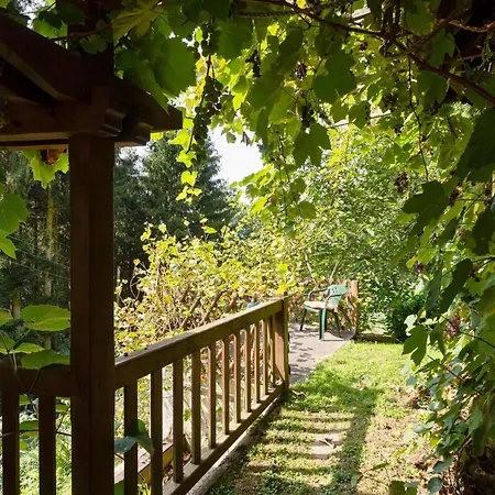 Appartement Near The Koralpe Area *