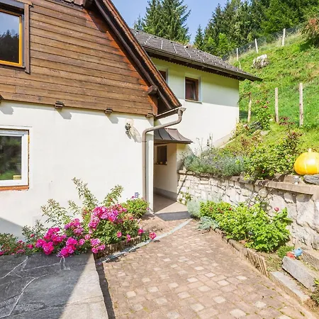 Near The Koralpe Ski Area Apartment *
