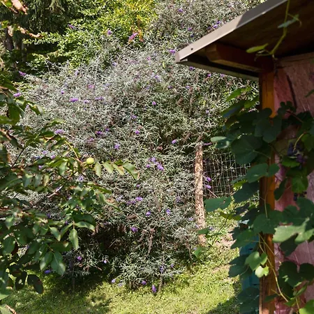 Near The Koralpe Ski Area Apartment *