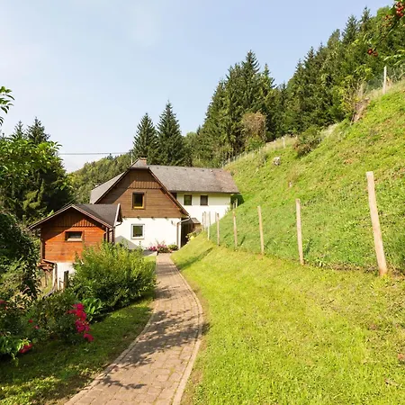 Near The Koralpe Ski Area Apartment Hintergumitsch